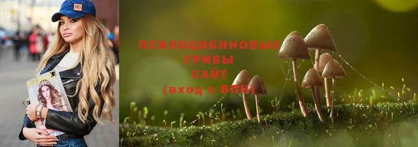 тгк Балахна