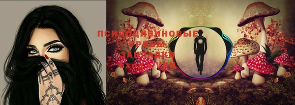 тгк Балахна
