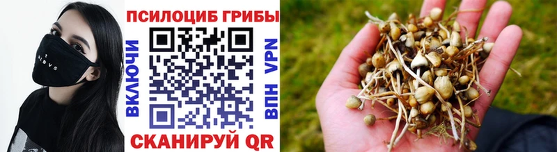 Псилоцибиновые грибы Cubensis МЕГА зеркало Макушино